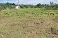Grundstück  Nieharelski sielski Saviet, Weißrussland