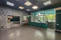Commercial property 105 m² in Minsk, Belarus