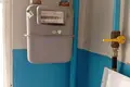 1 room apartment 31 m² Slonim, Belarus