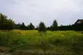 Land 1 167 m² Msciszewo, Poland