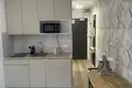 Apartamento 1 habitación 18 m² en Breslavia, Polonia