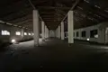 Commercial property 760 m² in Novakolasauski sielski Saviet, Belarus