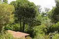 Land 2 600 m² Vourvourou, Greece