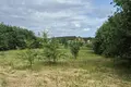 Atterrir 21 m² Miadzielski sielski Saviet, Bélarus