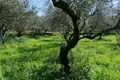 Parcelas  Grecia, Grecia