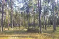 Commercial property 1 455 m² in Syckava, Belarus