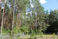 Casa 34 m² Visneuski selski Savet, Belarús
