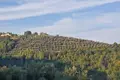 Villa  Motovun, Croatie