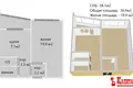 Wohnung 1 zimmer 37 m² Homel, Belarus