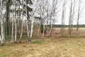 Grundstück 54 m² Dzitvianski sielski Saviet, Weißrussland