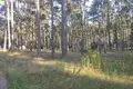 Commercial property 1 455 m² in Syckava, Belarus