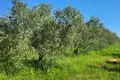 Chalet 35 000 m² Grad Rovinj, Croatia