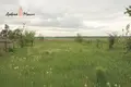 Дом 74 м² Крупицкий сельский Совет, Беларусь