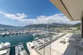 3 bedroom apartment 498 m² Montenegro, Montenegro