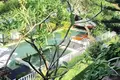 Вилла 4 спальни 500 м² Kerobokan Kelod, Индонезия