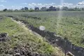 Land  Matrosovo, Russia