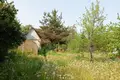Parcelas  Anninskoe gorodskoe poselenie, Rusia