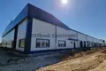 Commercial property 1 760 m² in Gyal, Hungary