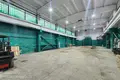 Warehouse 385 m² in Minsk, Belarus