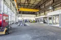 Shop 2 030 m² in Rogozno, Poland