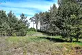 Land  Melekonys, Lithuania