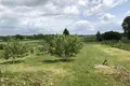 Działki  Holacki sielski Saviet, Białoruś
