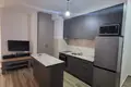 Apartamento 1 habitacion 46 m² Budva, Montenegro