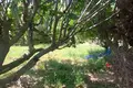 Дом 1 спальня 72 м² Ojen, Испания