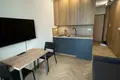 Appartement 1 chambre 24 m² en Varsovie, Pologne