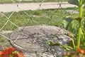 Maison 40 m² Gorodets, Russie