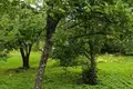 Działki  Anninskoe gorodskoe poselenie, Rosja