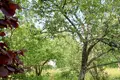 Działki  Anninskoe gorodskoe poselenie, Rosja