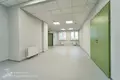 Commercial property 3 rooms 100 m² in Minsk, Belarus