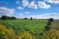 Land  Gojus, Lithuania