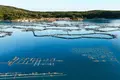 FISH FARM, CROATIA