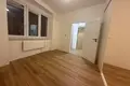 1 bedroom apartment 47 m² Capital City of Prague, Czech Republic