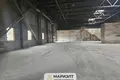 Magazyn 20 734 m² Radoszkowice, Białoruś