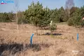 Parcelas  Mazieji Lygainiai, Lituania