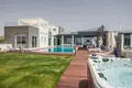 Dom 6 pokojów 300 m² Ajia Napa, Cyprus
