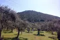 Atterrir 1 chambre  Agios Georgios, Grèce