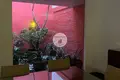 3 bedroom house 525 m² Mexico City, Mexico