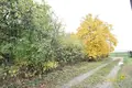Grundstück  Astrosycki selski Savet, Belarus