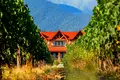 Wine is not just taste and aroma — it's the atmosphere and location that create it!