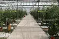 Propiedad comercial 36 000 m² en Mrgashen, Armenia
