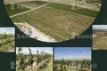 Propiedad comercial 36 000 m² en Mrgashen, Armenia