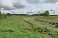 Дом 30 м² Городецкий муниципальный округ, Россия