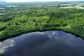 Land  Petrauskai, Lithuania