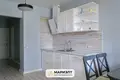 Wohnung 1 zimmer 49 m² Minsk, Belarus