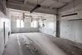 Produktion 1 285 m² in Zarecca, Belarus