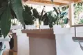 Established business  in Arona, Spain